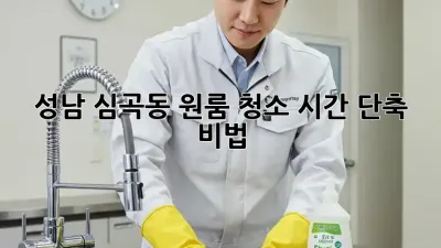 성남 심곡동 원룸 청소, 시간 단축 비법!