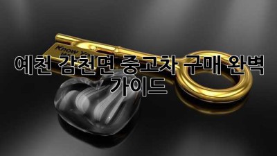 예천 감천면 중고차 구매 완벽 가이드!