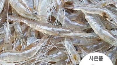 놓치면 후회! ✨ 국산 보리새우 볶음용 초특가 후기! 🦐